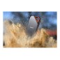 SanDisk Extreme SSD PRO Portable 1TB USB 3.2 Gen 2x2